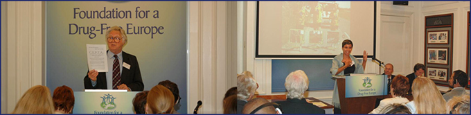 fdfe-civil-society-1