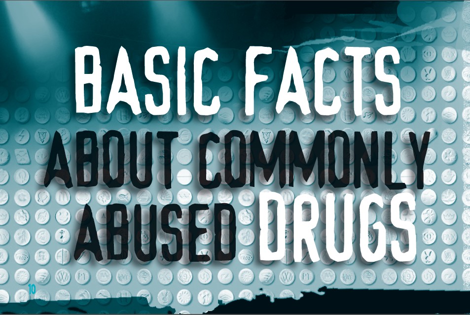 10 truth about drug booklet