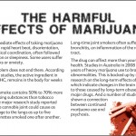 10 THE TRUTH ABOUT MARIJUANA