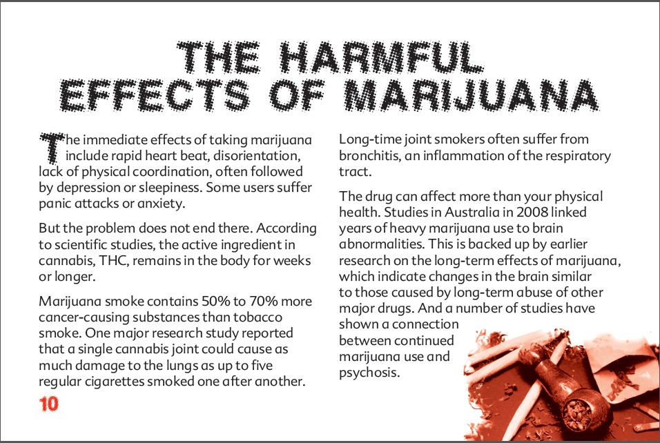 10 THE TRUTH ABOUT MARIJUANA