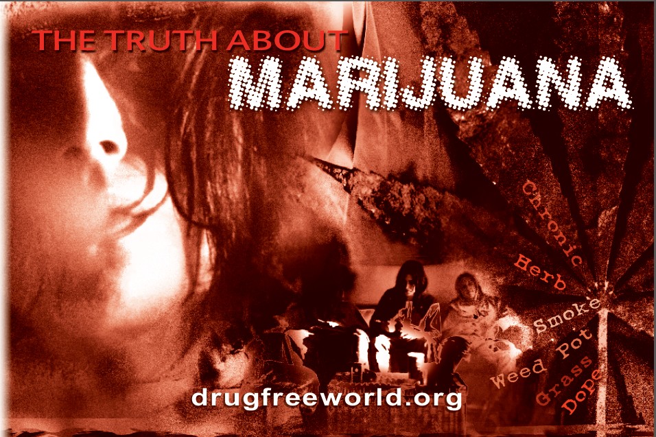 Truth About Drugs Documentary Marijuana