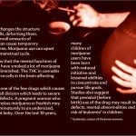 11 THE TRUTH ABOUT MARIJUANA