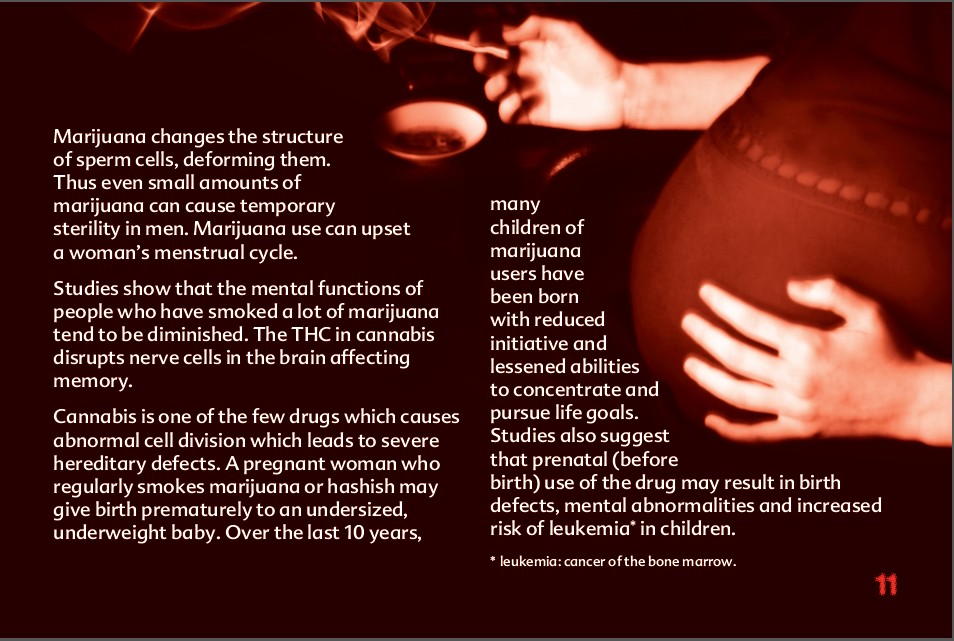 11 THE TRUTH ABOUT MARIJUANA