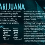 12 truth about drug booklet