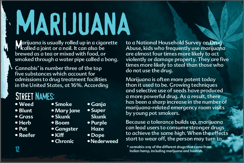 12 truth about drug booklet