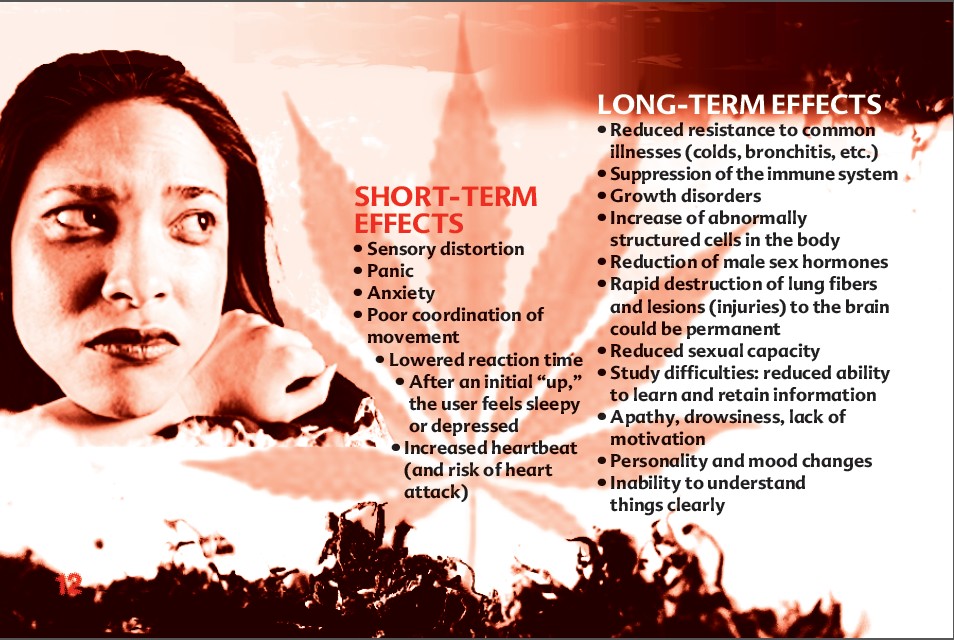 12 THE TRUTH ABOUT MARIJUANA