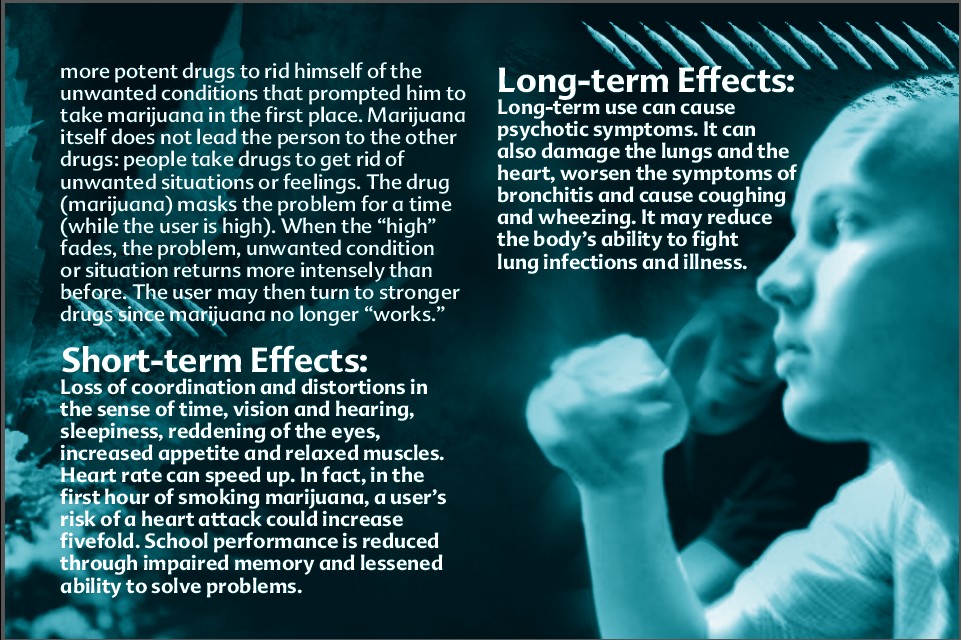 13 truth about drug booklet