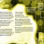 13 The truth about alcohol booklet