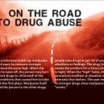 14 THE TRUTH ABOUT MARIJUANA