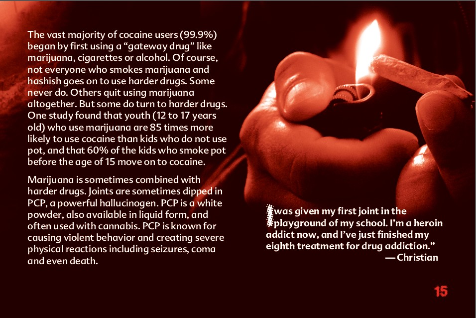 15 THE TRUTH ABOUT MARIJUANA