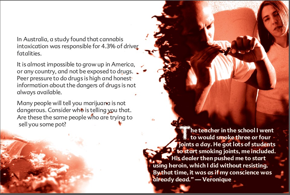17 THE TRUTH ABOUT MARIJUANA