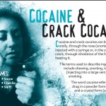 18 truth about drug booklet