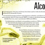 18 The truth about alcohol booklet