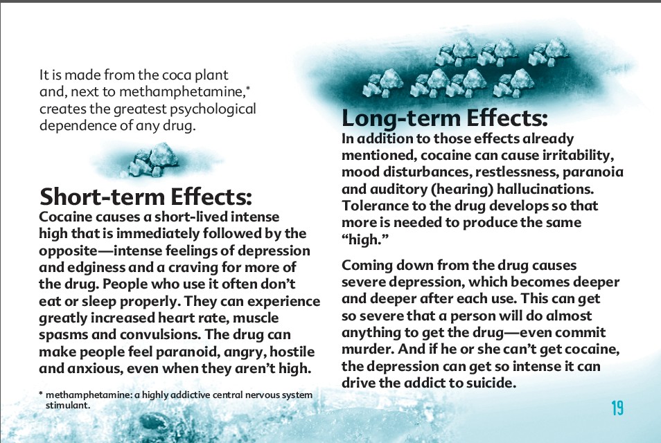 19 truth about drug booklet