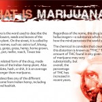 3 THE TRUTH ABOUT MARIJUANA