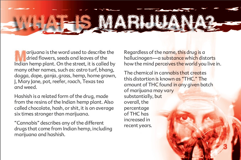 3 THE TRUTH ABOUT MARIJUANA