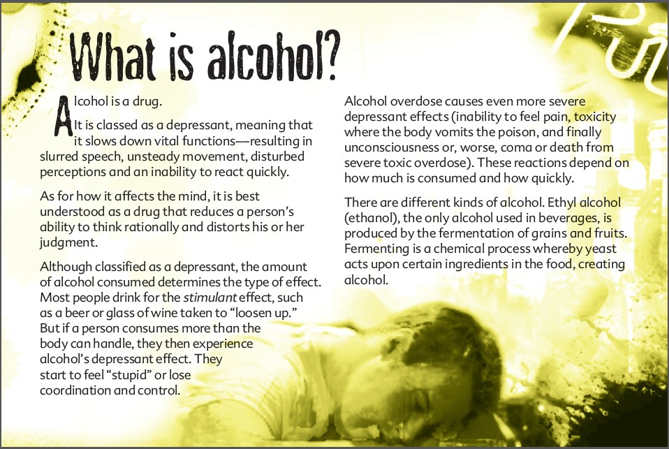 3 The truth about alcohol booklet