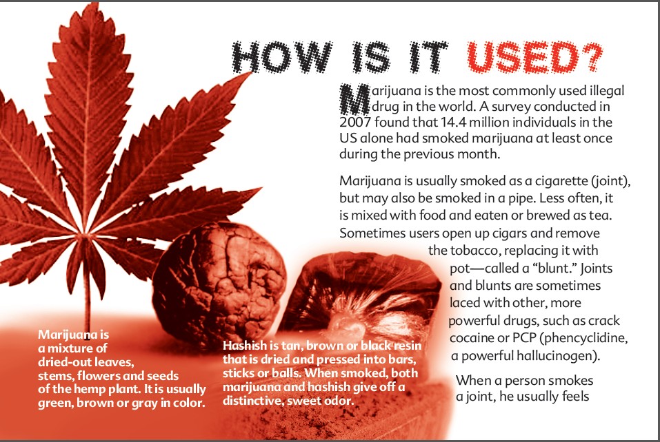 4 THE TRUTH ABOUT MARIJUANA