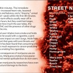 5 THE TRUTH ABOUT MARIJUANA