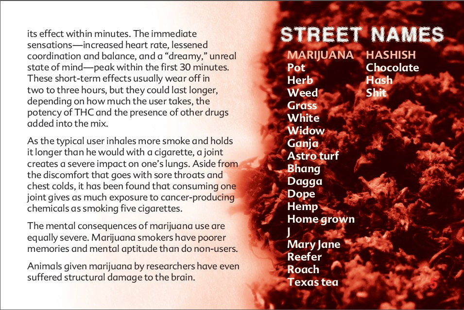 5 THE TRUTH ABOUT MARIJUANA