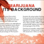 6 THE TRUTH ABOUT MARIJUANA