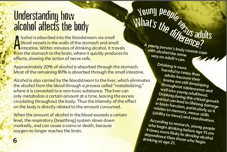 6 The truth about alcohol booklet