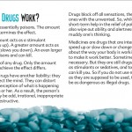 7 truth about drug booklet
