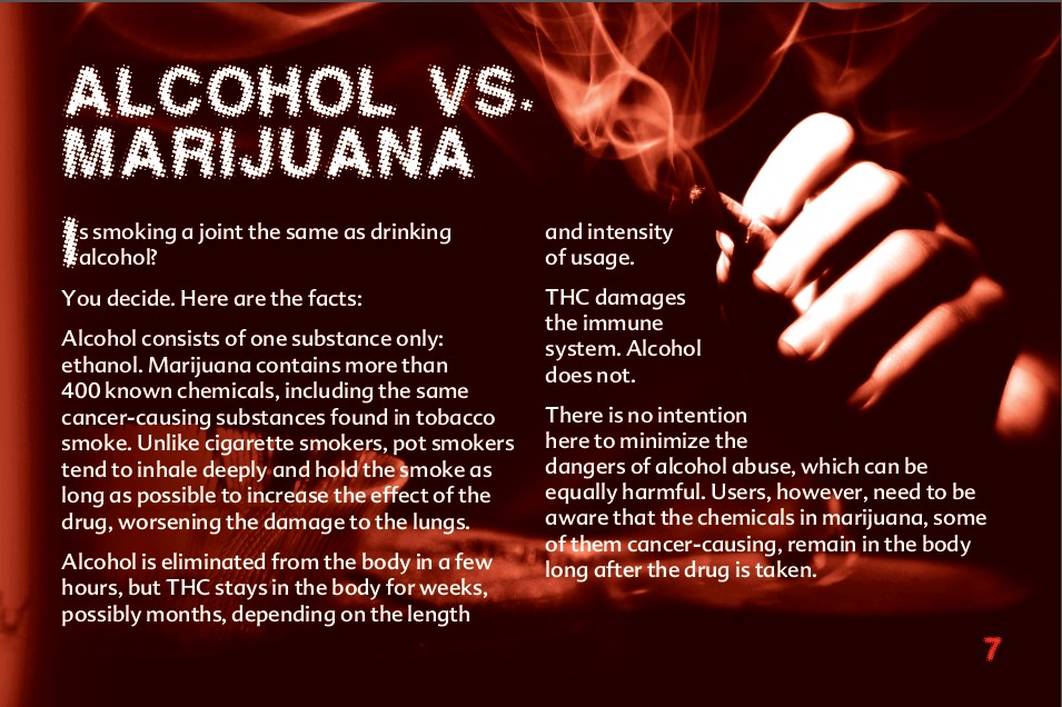 7 THE TRUTH ABOUT MARIJUANA