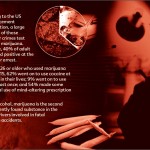 9 THE TRUTH ABOUT MARIJUANA