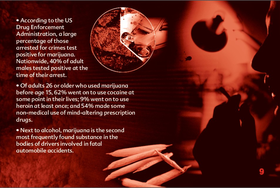 9 THE TRUTH ABOUT MARIJUANA