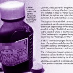 16 The Truth About Painkillers booklet