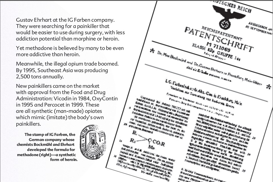 17 The Truth About Painkillers booklet