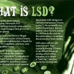3 truth about lsd
