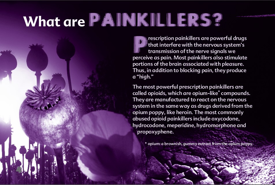 4 The Truth About Painkillers booklet