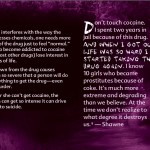 11_Truth about cocaine