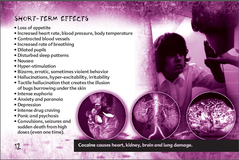 12_Truth about cocaine