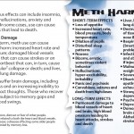 13_fdfe-truth-about-crystalmeth