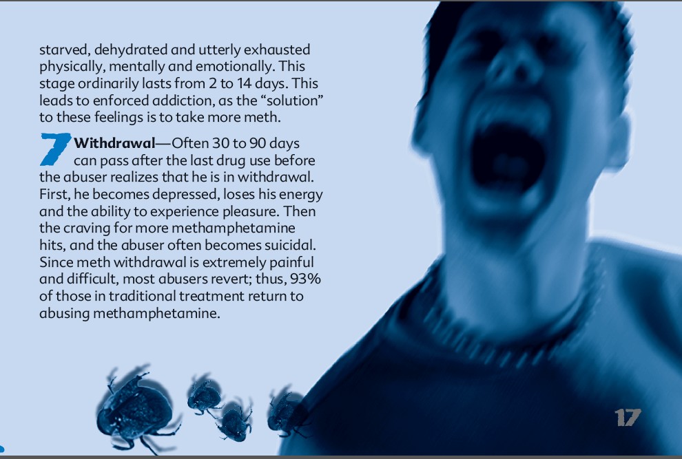 17_fdfe-truth-about-crystalmeth