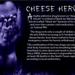 18 The Truth About Heroin