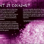 3_Truth about cocaine
