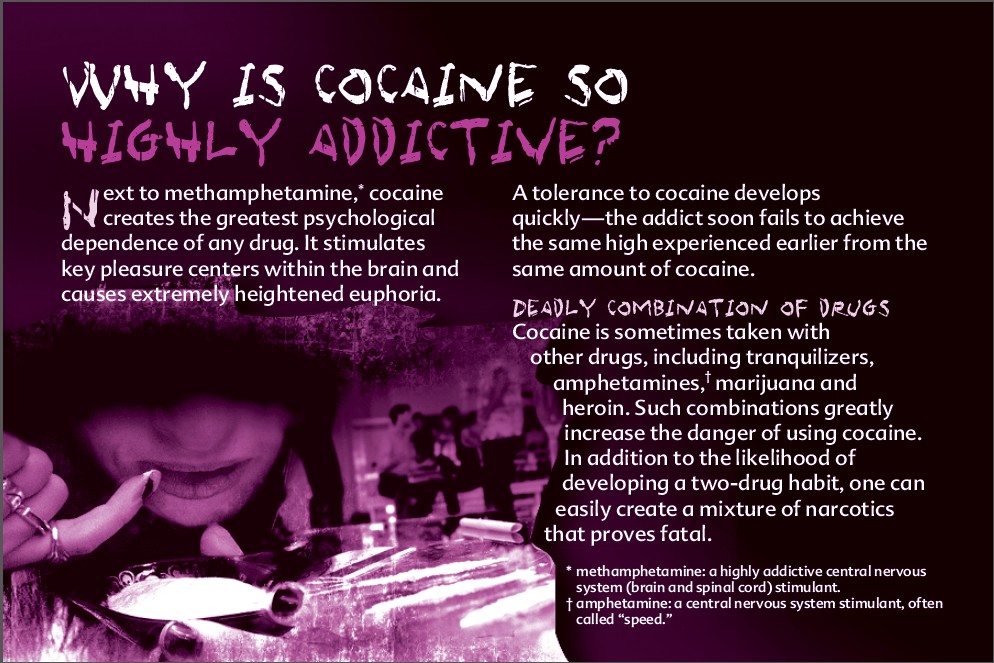 8_Truth about cocaine