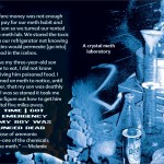 9_fdfe-truth-about-crystalmeth