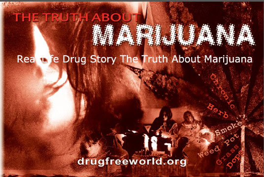 Real Life Drug Story The Truth About Marijuana