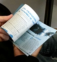 News from SNTD-Czech Republic