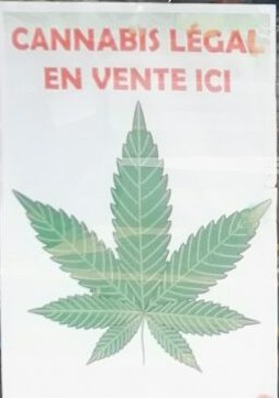 Geneva: “Punching” action against drugs